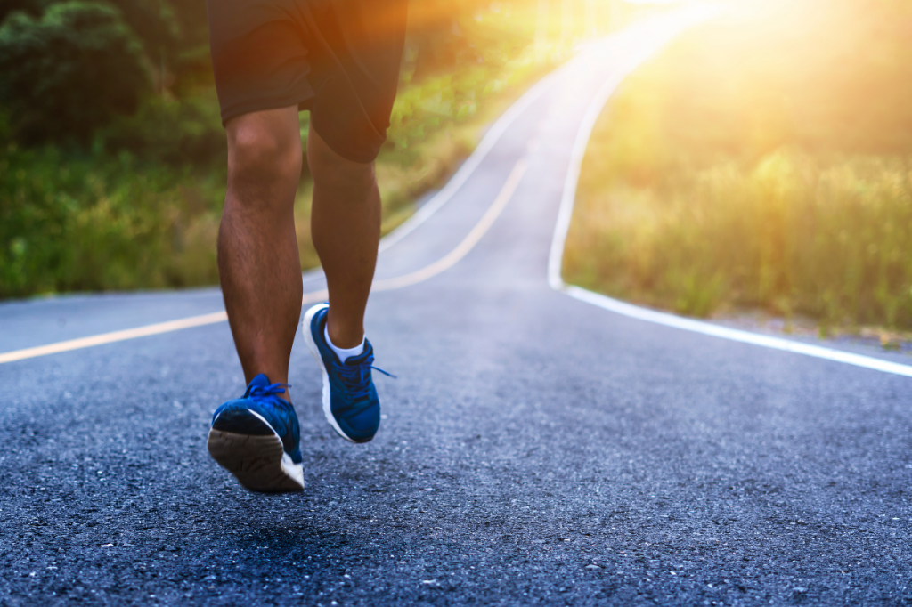 Supplements That Support Cardiovascular Wellness: A Beginner’s Guide