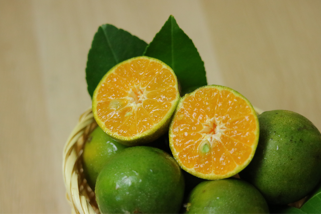 Natural Supplements for Insulin Resistance: A Beginner's Buyer Guide