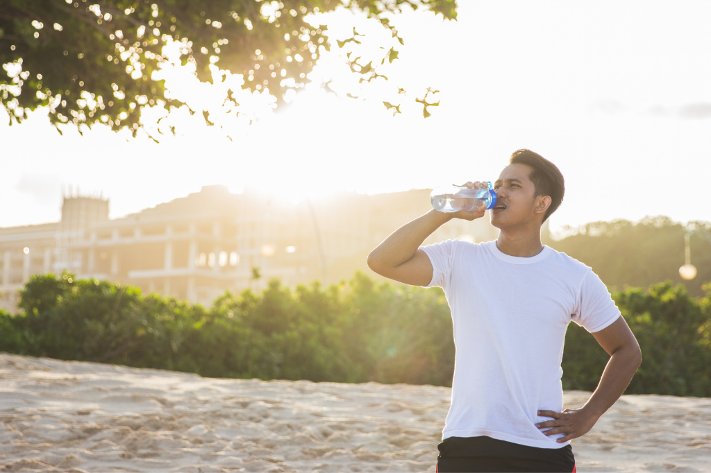 Natural Supplements for Vascular Support: A Beginner's Buyer Guide